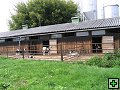 thn_Troubelice 2006 028.jpg